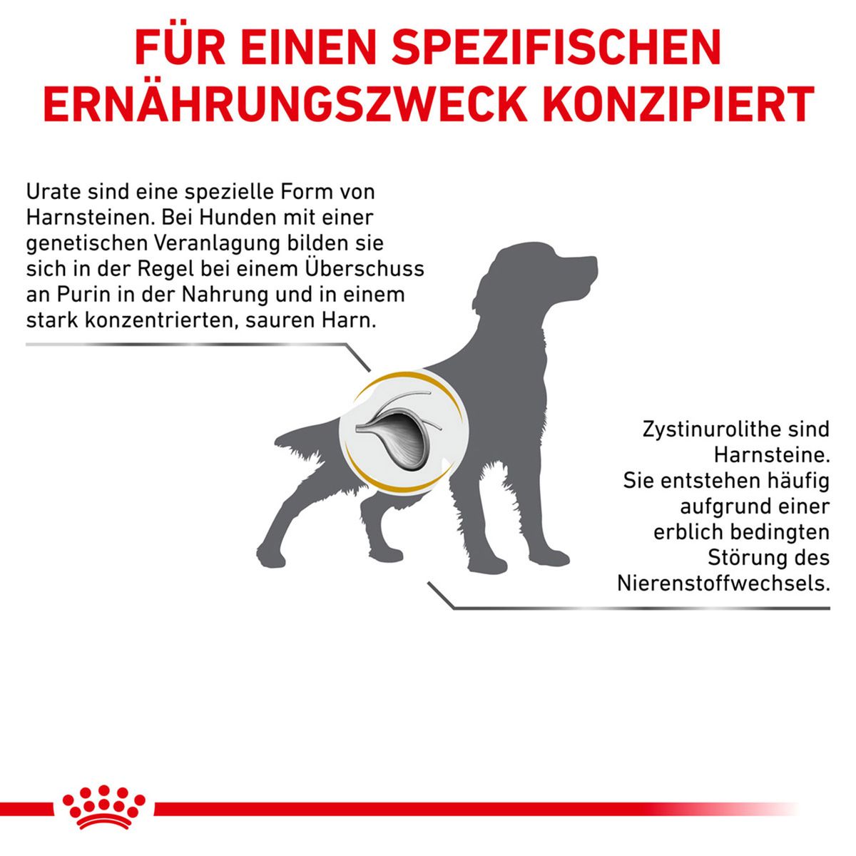  Royal Canin Urinary U/C Hundefutter 2 Kg Trockenfutter Für Hunde