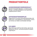 Royal Canin Adult Trockenfutter Für Katzen 2 Kg Trockenfutter Für Katzen