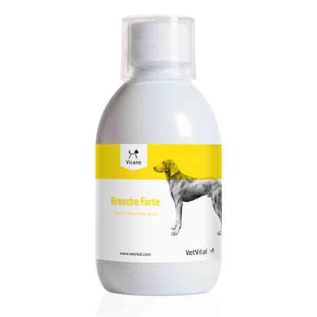  VetVital Vicano Broncho Forte Akut Für Hunde 100 Ml Flasche Für Hunde