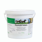  PlantaVet PlantaSil Hund Pferd Ziervögel 1 Kg Pulver Dose