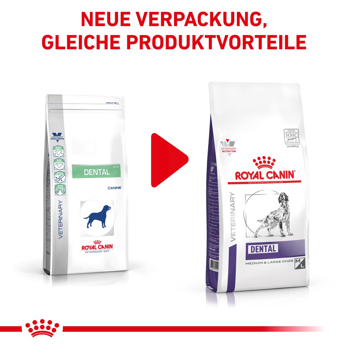  Royal Canin Dental Medium & Large Dogs Trockenfutter Für Hunde 6 Kg Trockenfutter Für Hunde