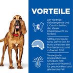  Hills Science Plan Canine Light Mature Adult 7+ Medium Mit Huhn Trockenfutter 14 Kg Trockenfutter