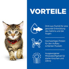  Hills Science Plan Kitten Trockenfutter 1,5 Kg Trockenfutter