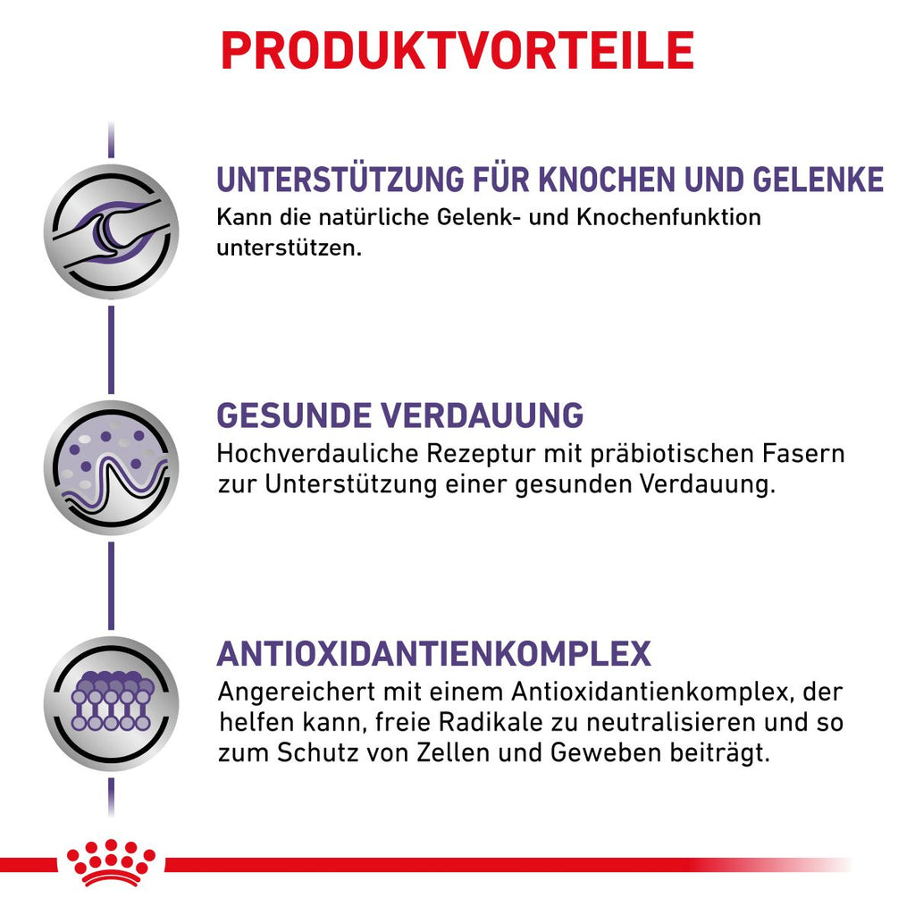  Royal Canin Adult Large Dogs Trockenfutter Für Hunde 13 Kg Trockenfutter Für Hunde