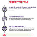  Royal Canin Adult Large Dogs Trockenfutter Für Hunde 13 Kg Trockenfutter Für Hunde