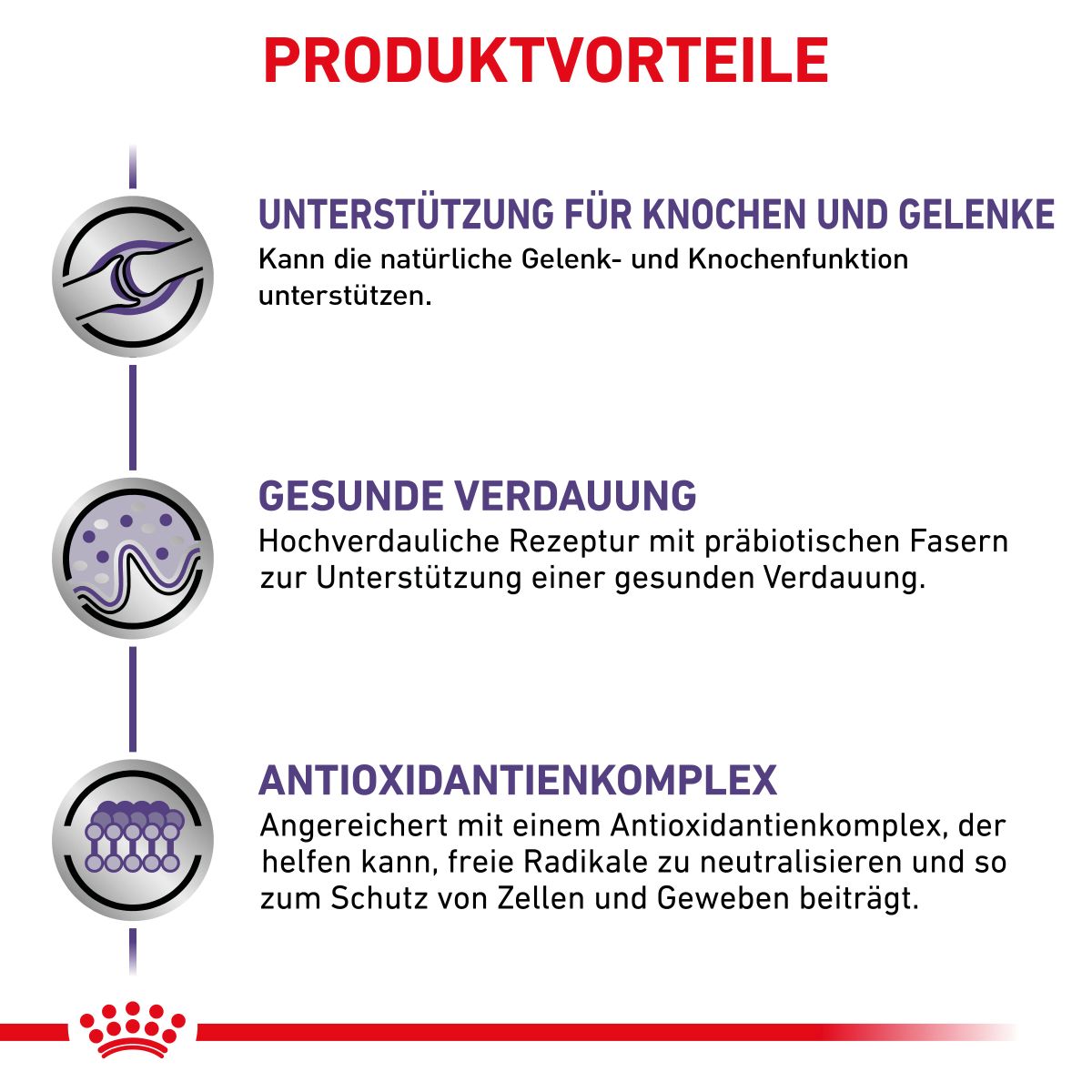  Royal Canin Adult Large Dogs Trockenfutter Für Hunde 13 Kg Trockenfutter Für Hunde