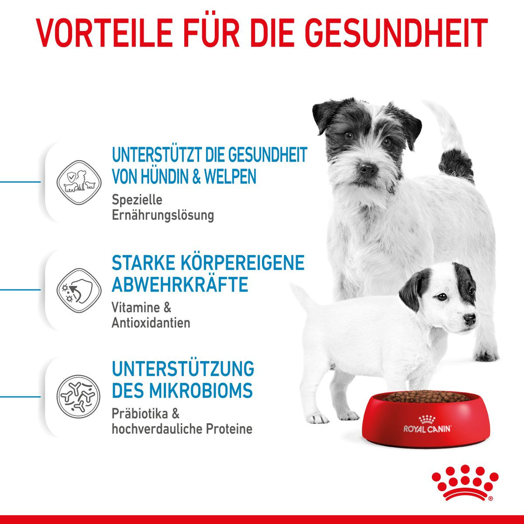  Royal Canin Mini Starter Trockenfutter 4 Kg Trockenfutter