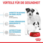  Royal Canin Mini Starter Trockenfutter 4 Kg Trockenfutter