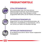  Royal Canin Mature Consult Katze Frischebeutel 12 X 85 G Frischebeutel Für Katzen