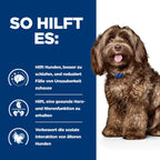  Hills B/D Trockenfutter Für Hunde 12 Kg Trockenfutter Für Hunde
