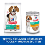  Hills Science Plan Canine Adult Perfect Weight Ragout Dosenfutter 12 X 363 G Ragout Mit Huhn Und Gemüse