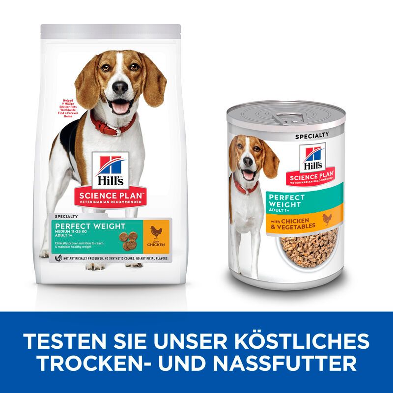  Hills Science Plan Canine Adult Perfect Weight Ragout Dosenfutter 12 X 363 G Ragout Mit Huhn Und Gemüse