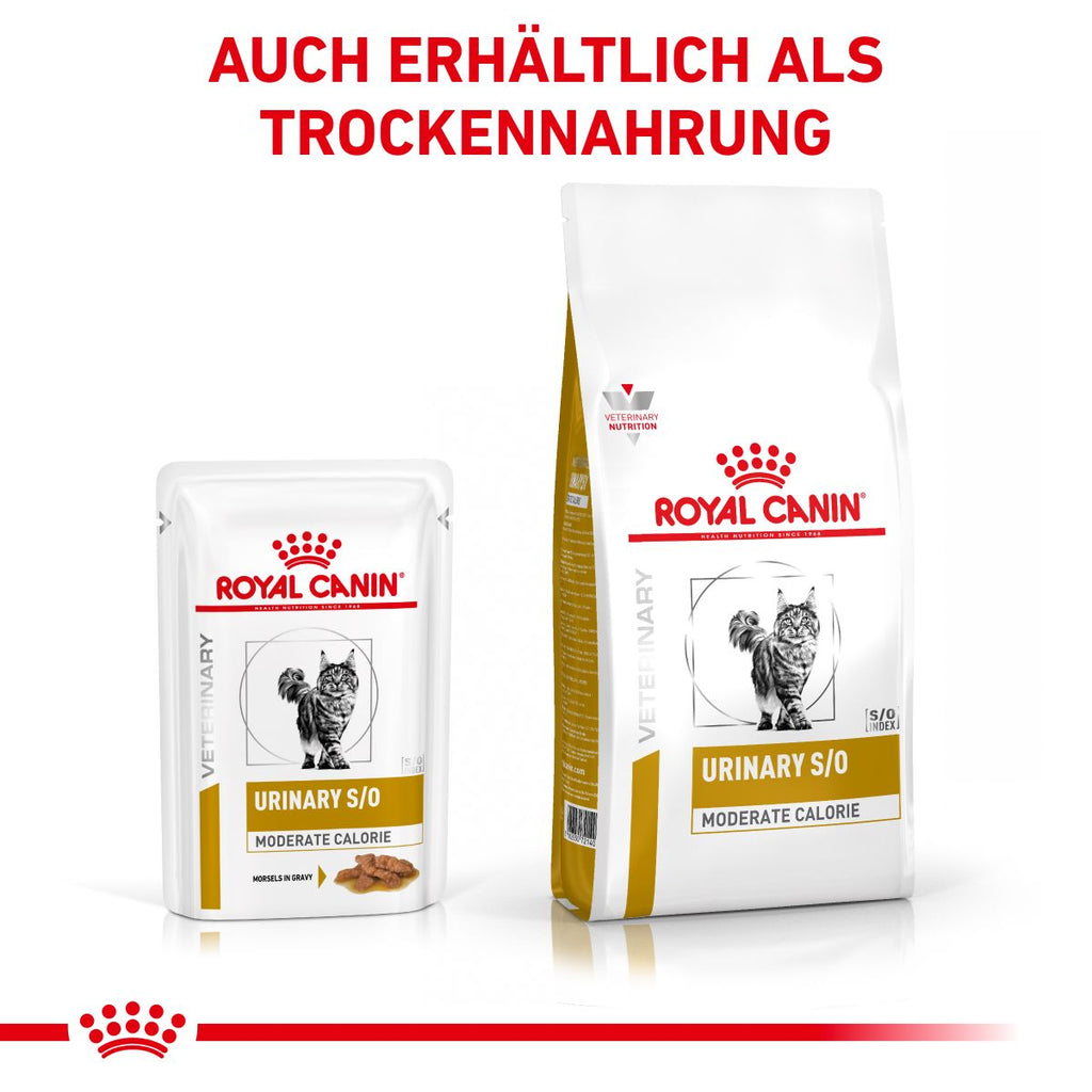  Royal Canin Urinary S/O Moderate Calorie Katze Frischebeutel 12 X 85 G Frischebeutel Für Katzen