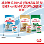  Royal Canin Mini Puppy Frischebeutel 12 X 85 G Frischebeutel Für Hunde