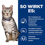  Hills Prescription Diet Feline C/d Multicare Urinary Stress + Metabolic Frischebeutel Für Katzen 12 X 85 G Frischebeutel