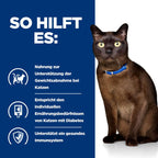  Hills M/d Dosenfutter Bei Katzendiabetes 24 X 156 G Dosen Feingehackt