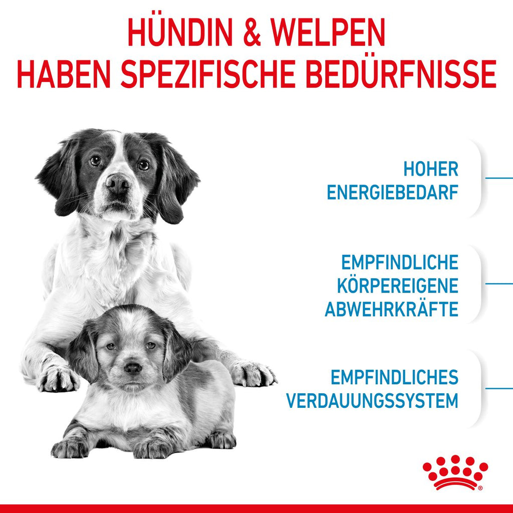  Royal Canin Medium Starter Trockenfutter 15 Kg Trockenfutter Für Hunde