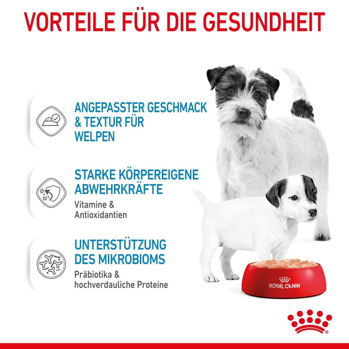  Royal Canin Starter Ultra Soft Mousse Für Welpen 12 X 195 G