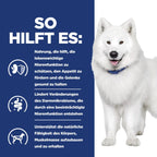  Hills K/d + Mobility Trockenfutter Für Hunde 4 Kg Trockenfutter Für Hunde