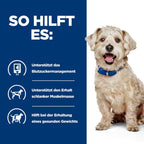  Hills W/d Dosenfutter Für Hunde 12 X 370 G Dosenfutter Für Hunde