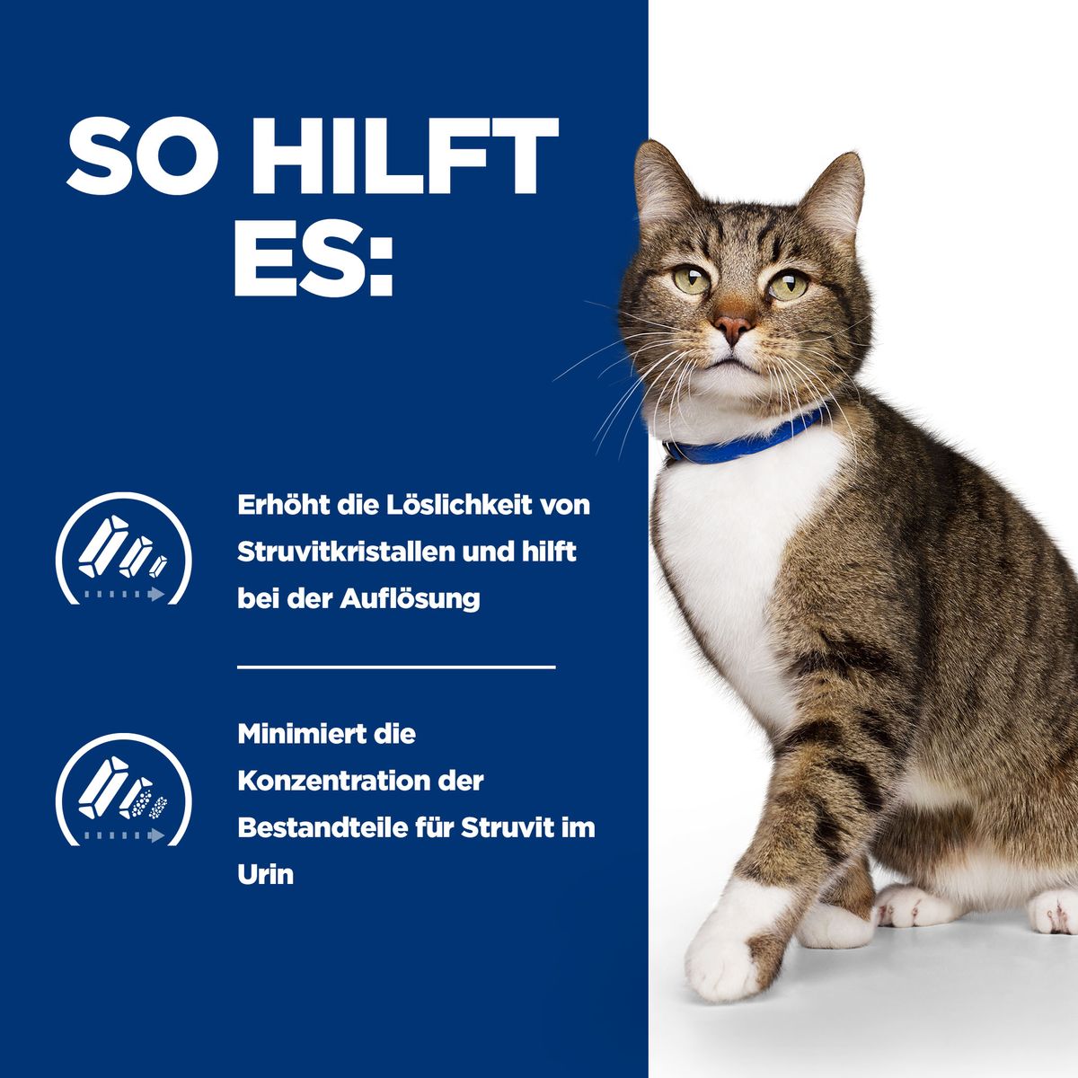  Hills Prescription Diet S/d Nassfutter Für Katzen Mit Huhn 12 X 85 G Frischebeutel