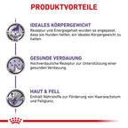  Royal Canin Neutered Adult Frischebeutel Für Hunde 12 X 100 G Frischebeutel Für Hunde