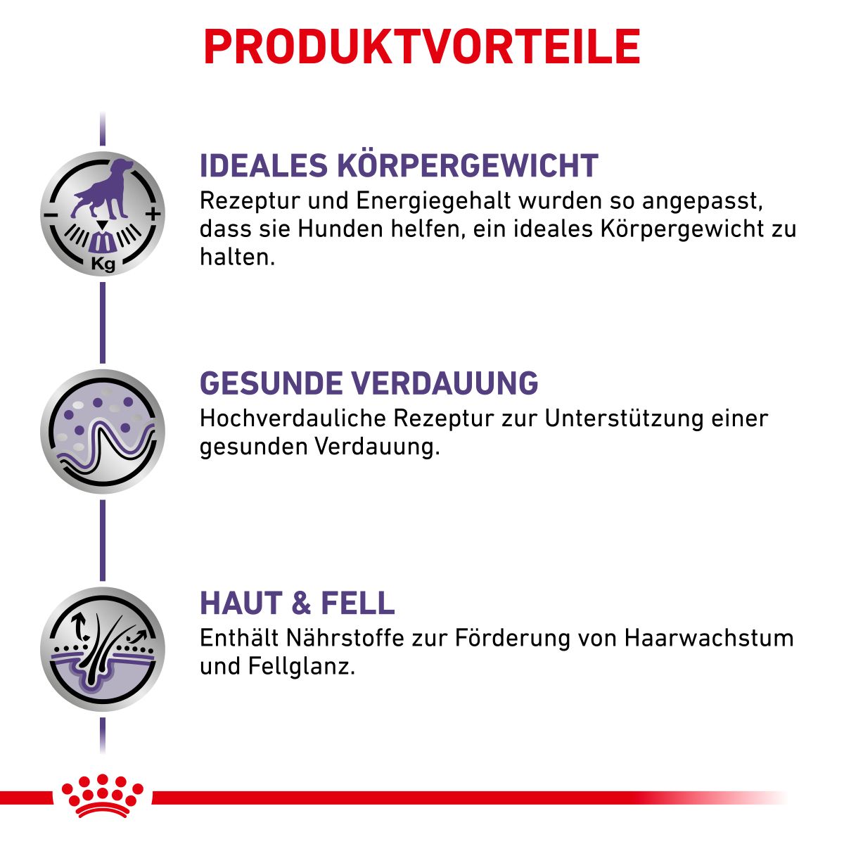  Royal Canin Neutered Adult Frischebeutel Für Hunde 12 X 100 G Frischebeutel Für Hunde