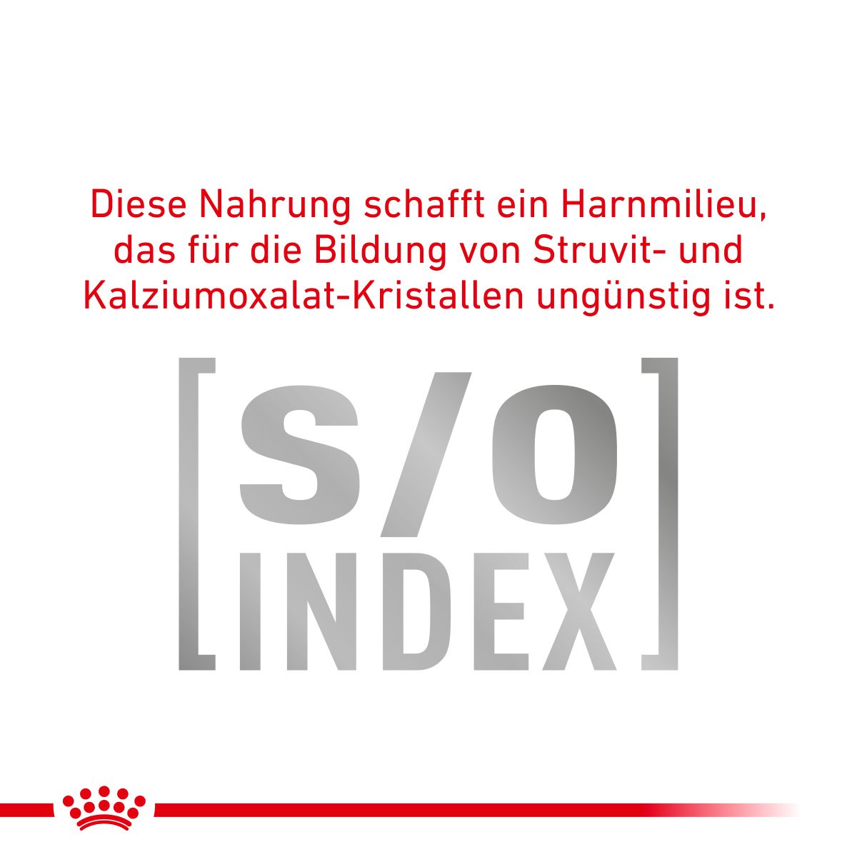  Royal Canin Diabetic Nassfutter Für Katzen 12 X 85 G Frischebeutel Für Katzen