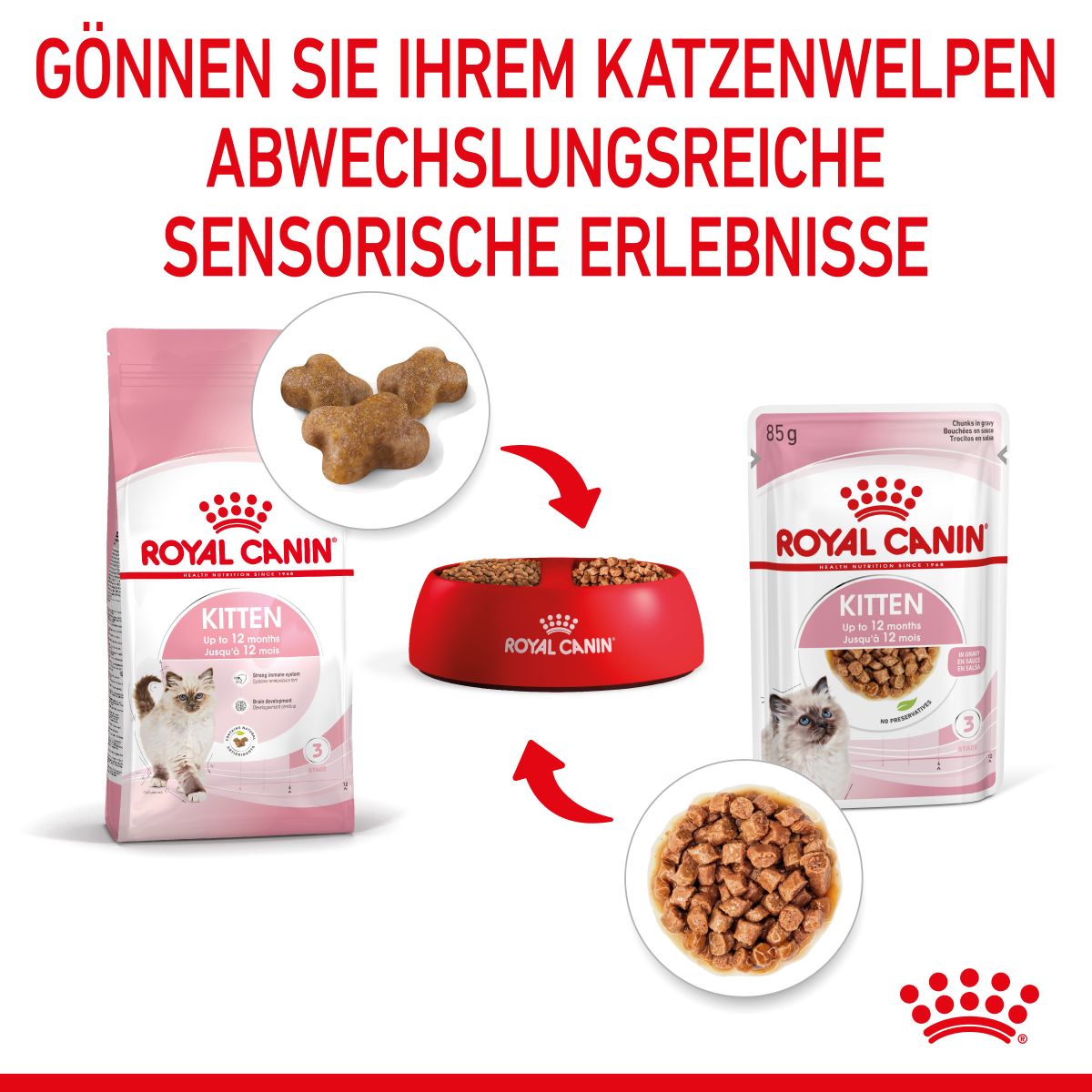  Royal Canin Kitten Second Age Für Kätzchen Bis Zum 12. Monat 12 X 85 G In Soße Frischebeutel