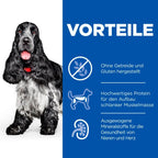 Hills Science Plan No Grain Mature Adult 7+ Trockenfutter Für Hunde 14 Kg Trockenfutter Für Hunde