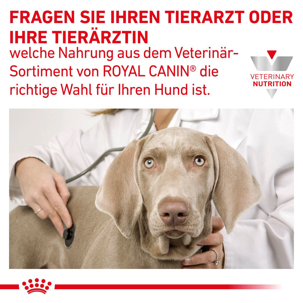  Royal Canin Gastrointestinal Low Fat Hundefutter In Dosen 12 X 200 G Low Fat Mousse Dosenfutter