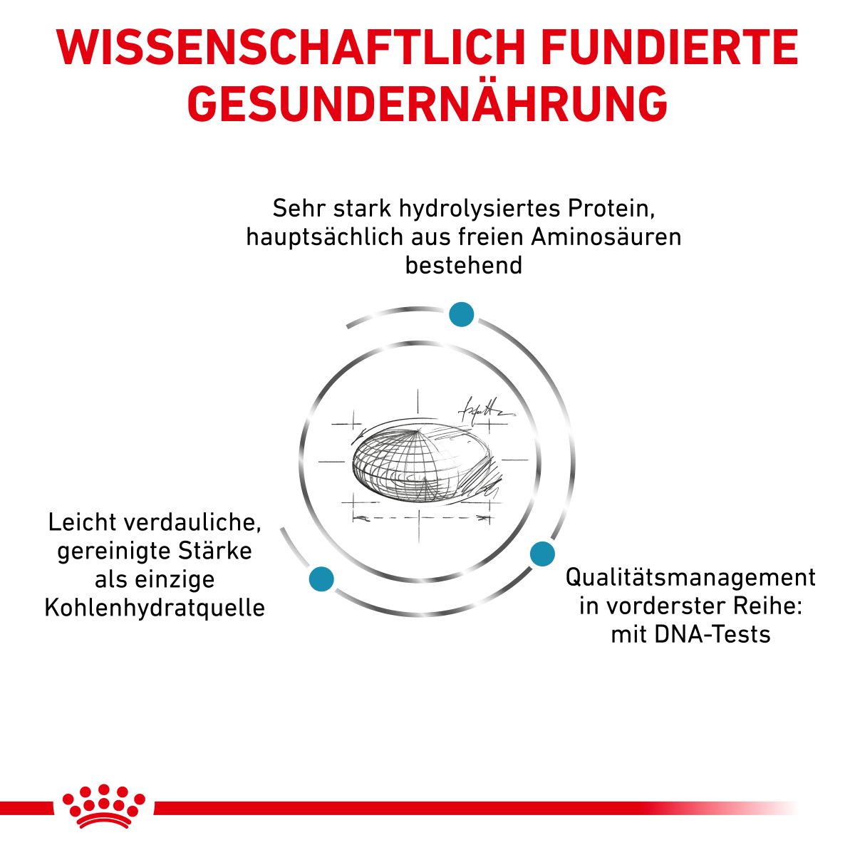  Royal Canin Anallergenic Trockenfutter Für Hunde 1,5 Kg Trockenfutter Für Hunde