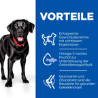 Hills Science Plan Canine Perfect Weight + Active Mobility Adult Large Breed Trockenfutter 12 Kg Huhn Trockenfutter