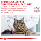  Royal Canin Urinary S/O Moderate Calorie Katze Frischebeutel 12 X 85 G Frischebeutel Für Katzen