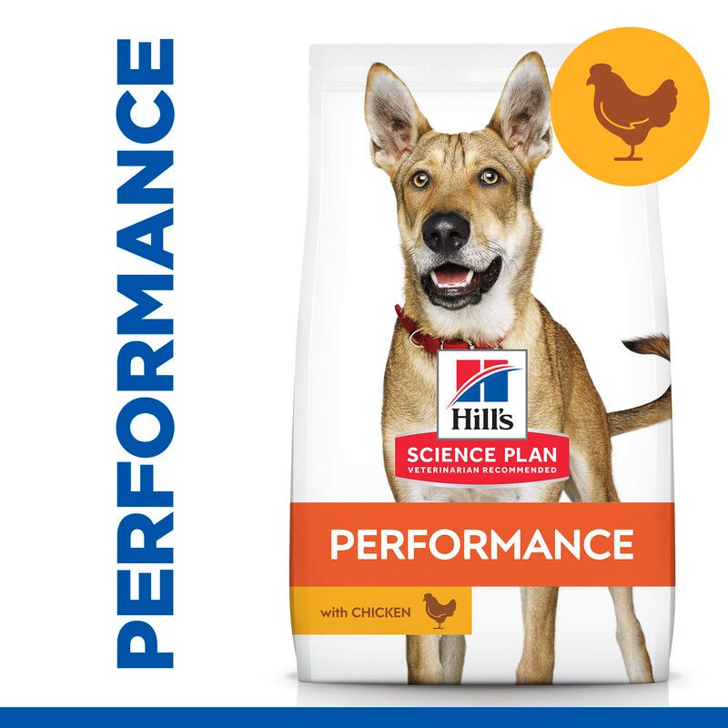  Hills Science Plan Canine Adult Performance Huhn Trockenfutter Für Hunde 14 Kg Trockenfutter