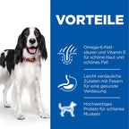 Hills Science Plan Canine Adult Huhn Dosenfutter Für Hunde 12 X 370 G Dosenfutter Mit Huhn