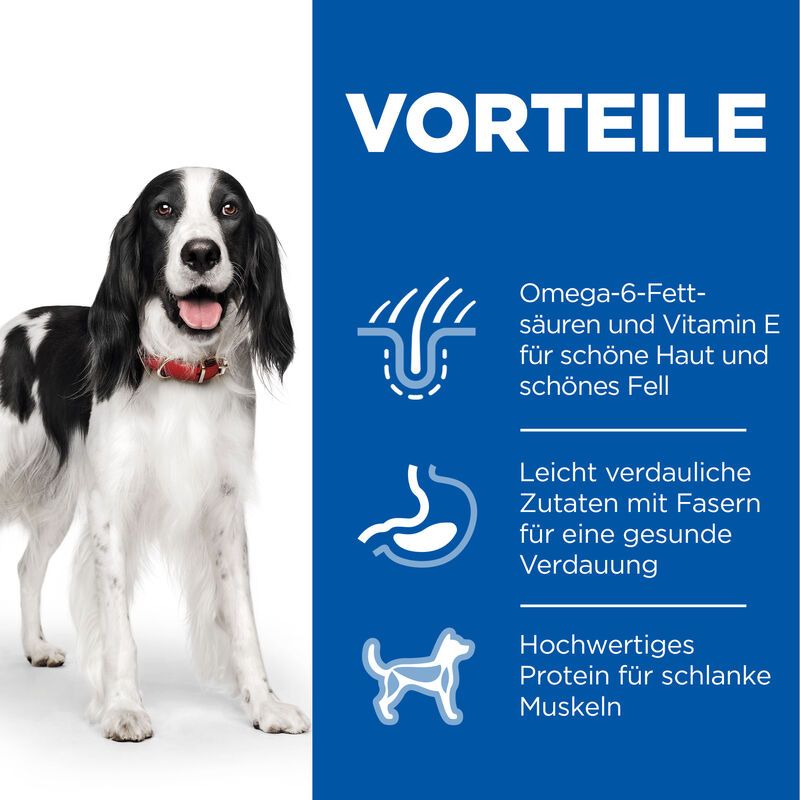  Hills Science Plan Canine Adult Huhn Dosenfutter Für Hunde 12 X 370 G Dosenfutter Mit Huhn