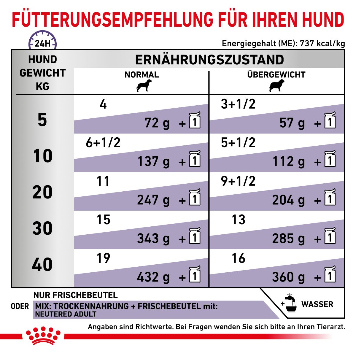  Royal Canin Neutered Adult Frischebeutel Für Hunde 12 X 100 G Frischebeutel Für Hunde