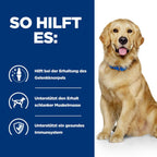  Hills J/D Dosenfutter Für Hunde 12 X 370 G Dosen