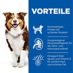  Hills Science Plan Canine Mature Adult 7+ Hund Huhn Dosenfutter 12 X 370 G Dosenfutter Mit Huhn