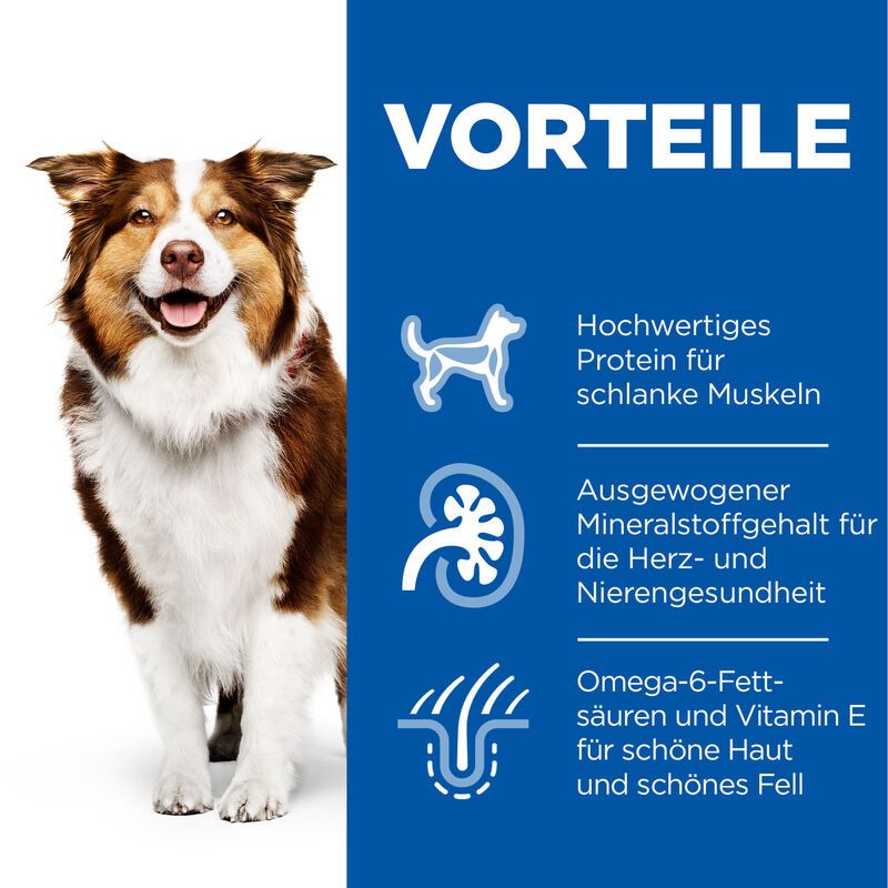  Hills Science Plan Canine Mature Adult 7+ Hund Huhn Dosenfutter 12 X 370 G Dosenfutter Mit Huhn