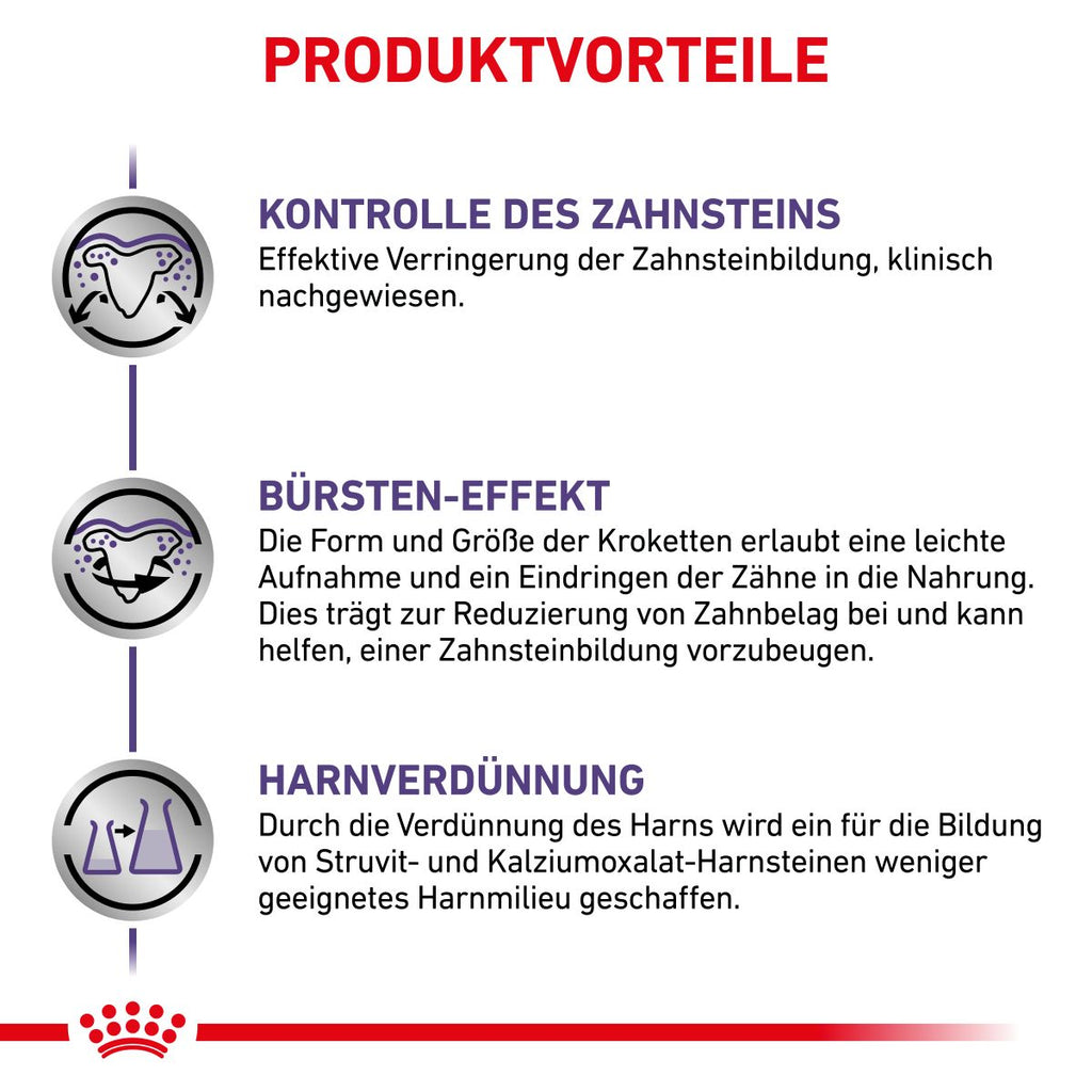  Royal Canin Dental Small Dogs Trockenfutter Für Hunde 1,5 Kg Trockenfutter Für Hunde