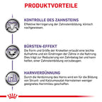  Royal Canin Dental Small Dogs Trockenfutter Für Hunde 1,5 Kg Trockenfutter Für Hunde