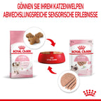  Royal Canin Kitten Frischebeutel Mousse 12 X 85 G Mousse Frischebeutel
