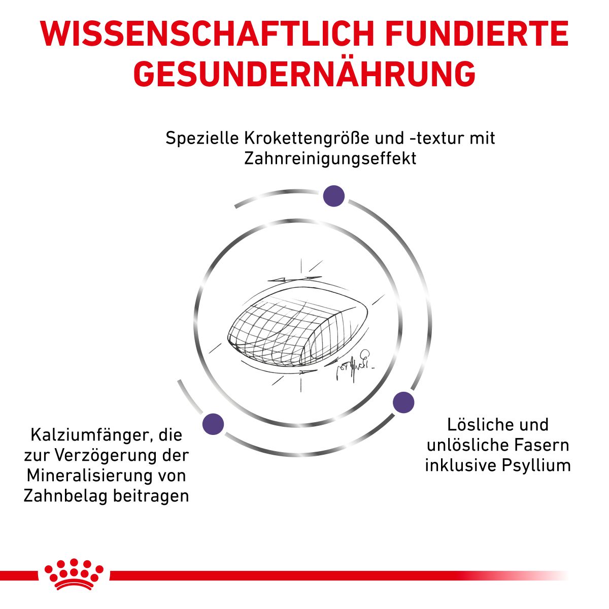  Royal Canin Dental Trockenfutter Für Katzen 1,5 Kg Trockenfutter Für Katzen