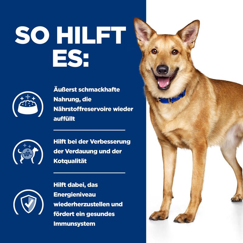  Hills I/d Ragout In Dosen Für Hunde 12 X 354 G Dosenfutter Für Hunde