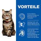  Hills Science Plan Feline Mature Adult 7+ Hairball Indoor Trockenfutter 6 X 1,5 Kg Trockenfutter