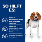  Hills R/d Trockenfutter Für Hunde 4 Kg Trockenfutter Für Hunde