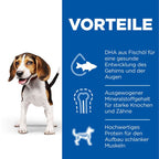  Hills Science Plan Canine Hund Puppy Huhn Dosenfutter 12 X 370 G Dosenfutter Mit Huhn