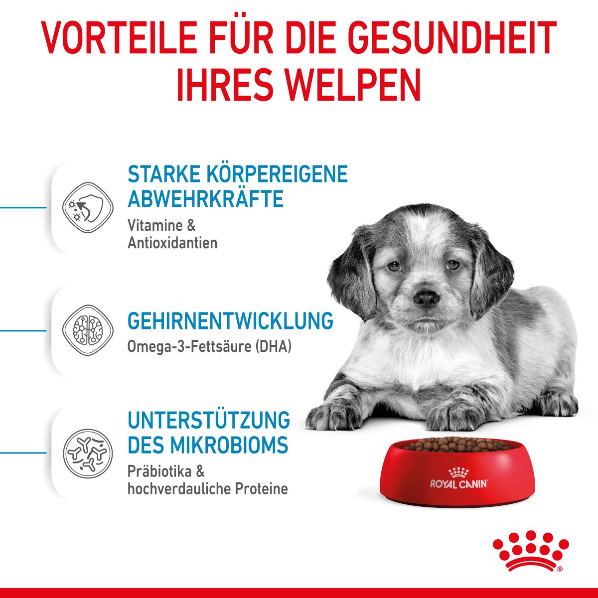  Royal Canin Medium Puppy Für Welpen Mittelgroßer Hunderassen 4 Kg Trockenfutter